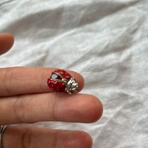 Red and Silver Ladybug Brooch